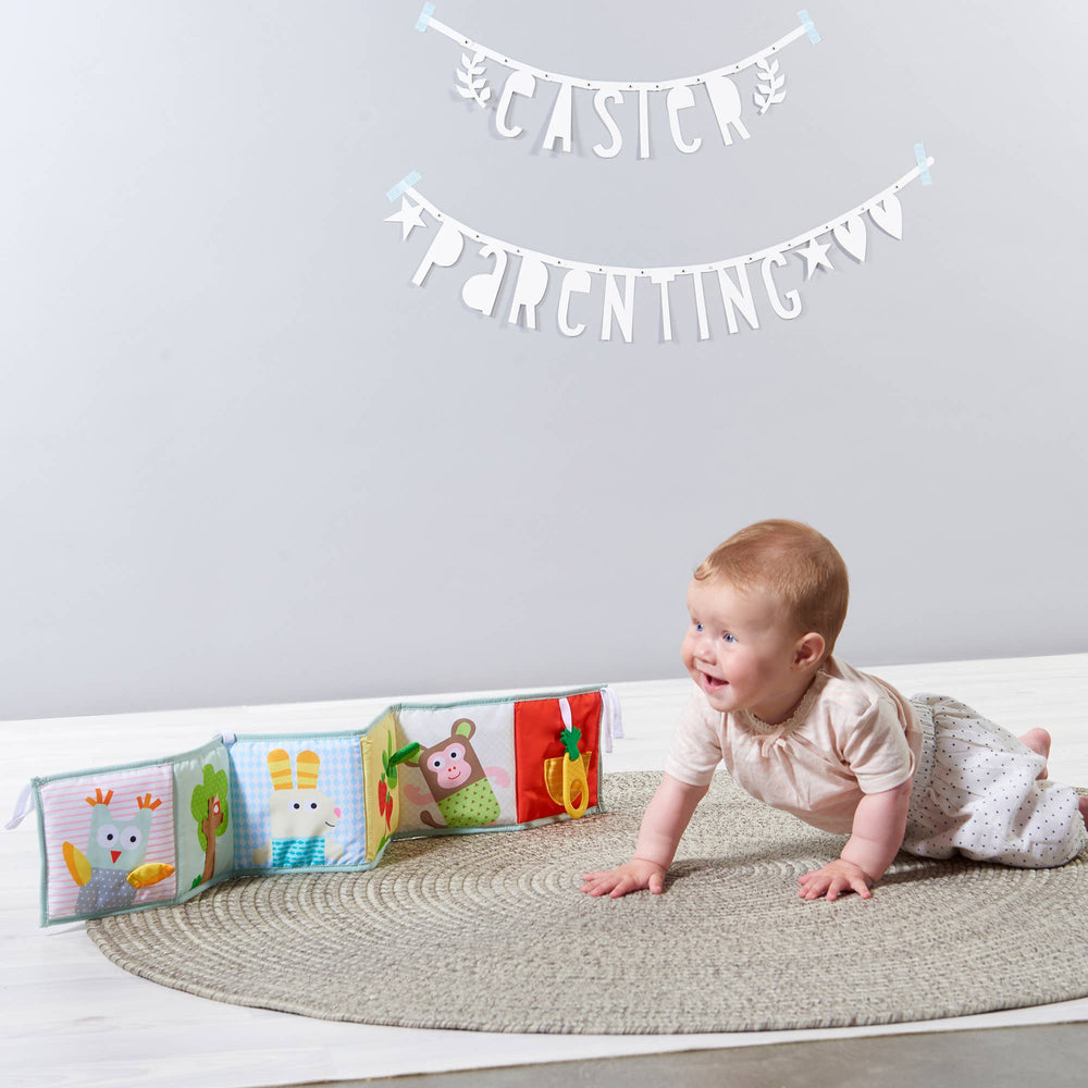 Playette I Taf Toys 3 in 1 Baby Book