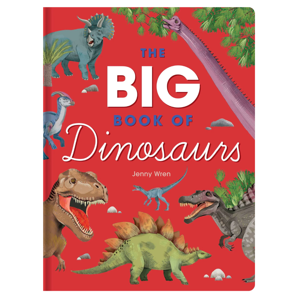 Large Fold Out BB I The Big Book of Dinosaurs