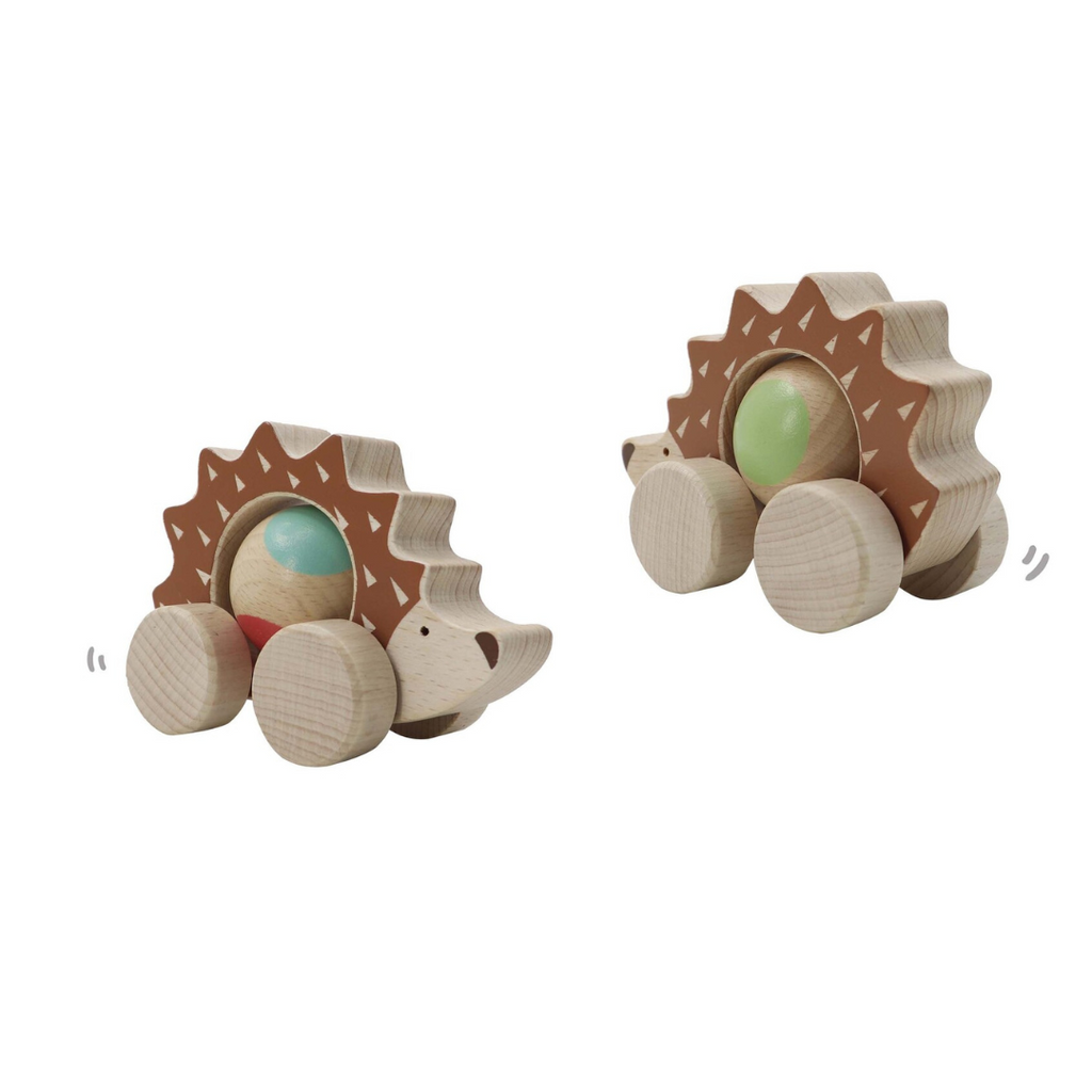 Kaper Kidz I  Eco Push a long Spinning Hedgehog