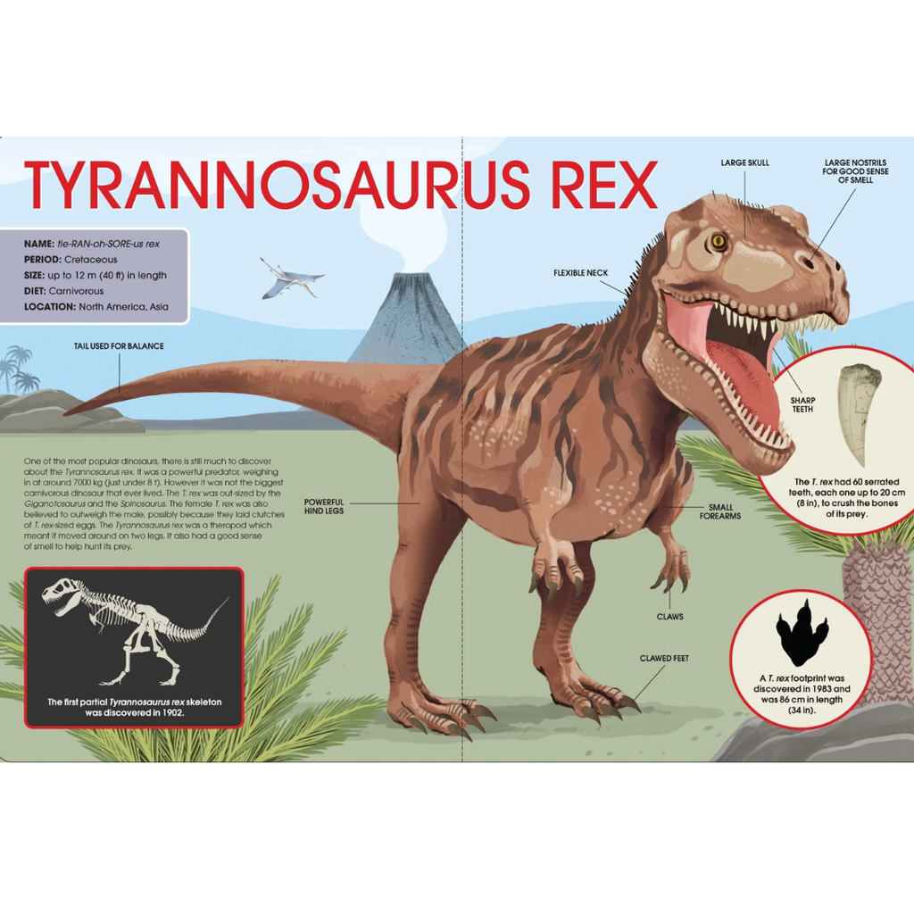 Large Fold Out BB I The Big Book of Dinosaurs