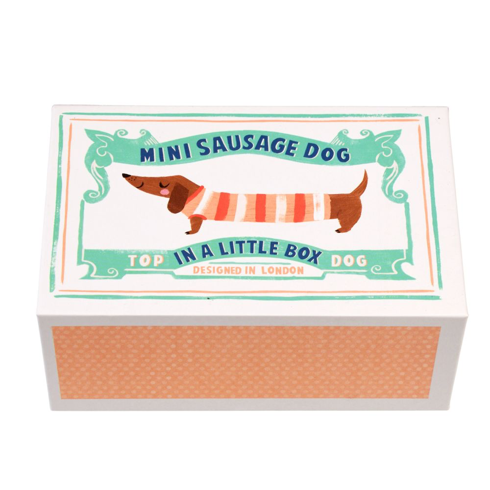 Rex London | Mini Sausage Dog in a Little Box