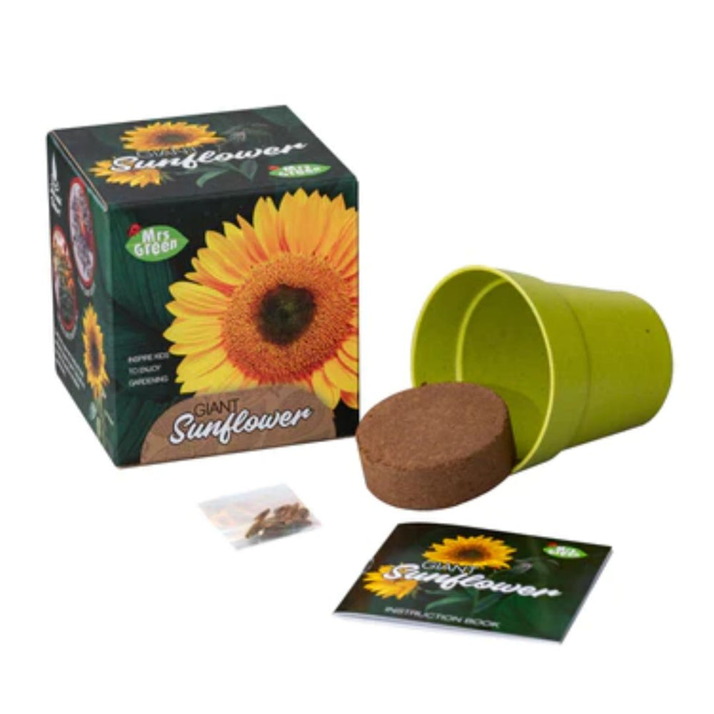 Mrs Green | Grow Your Own - Giant Sunflower