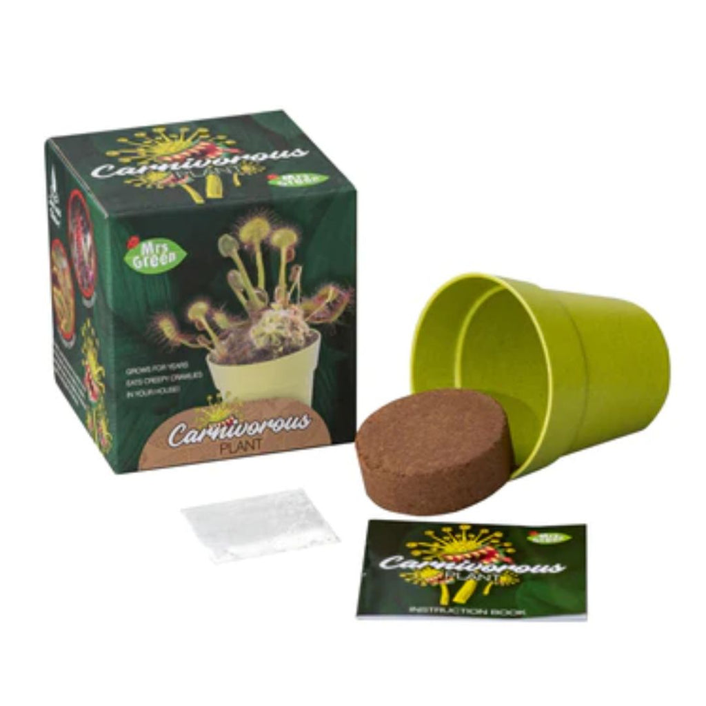 Mrs Green | Grow Your Own - Carnivorous Plant