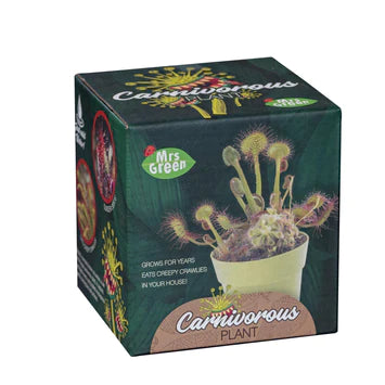 Mrs Green | Grow Your Own - Carnivorous Plant