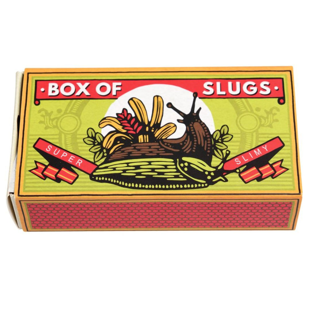 Rex London | Creepy Crawlies - Slimy Slugs - Box of 2