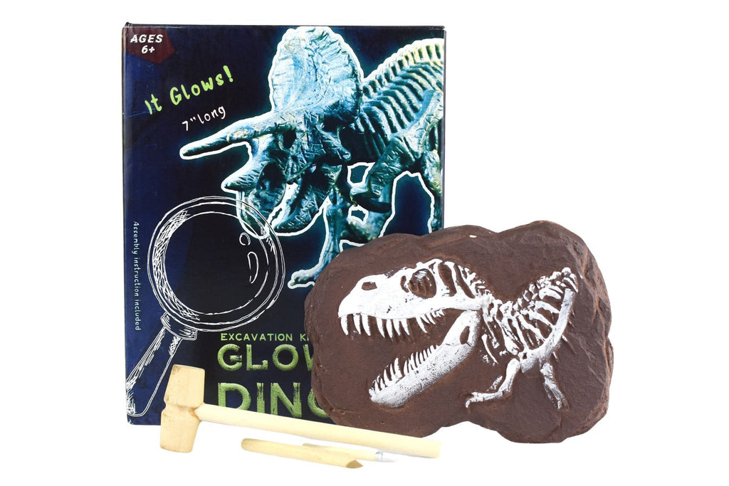 Kaper Kidz | Glow in the Dark - Triceratops Excavation Kit