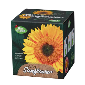 Mrs Green | Grow Your Own - Giant Sunflower
