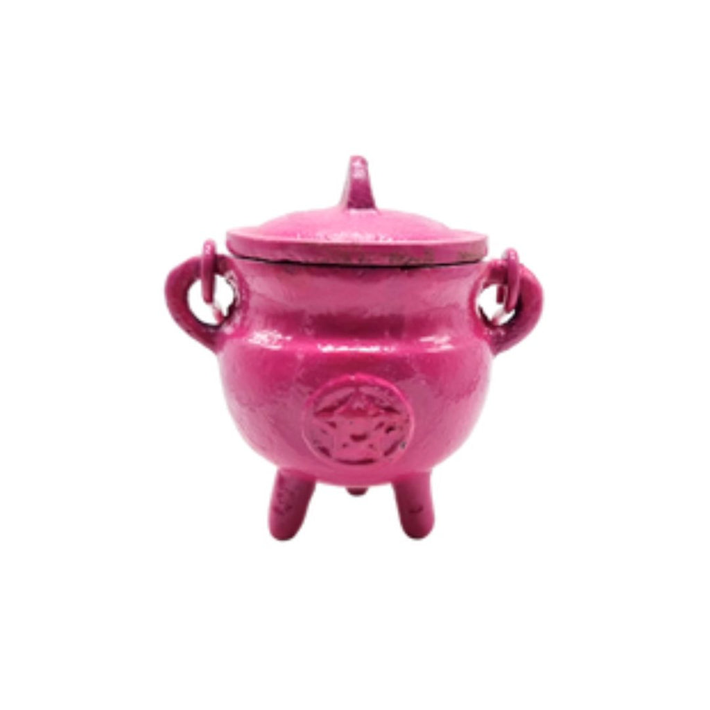 Pickwick & Sprout | Small Cauldron - Pink