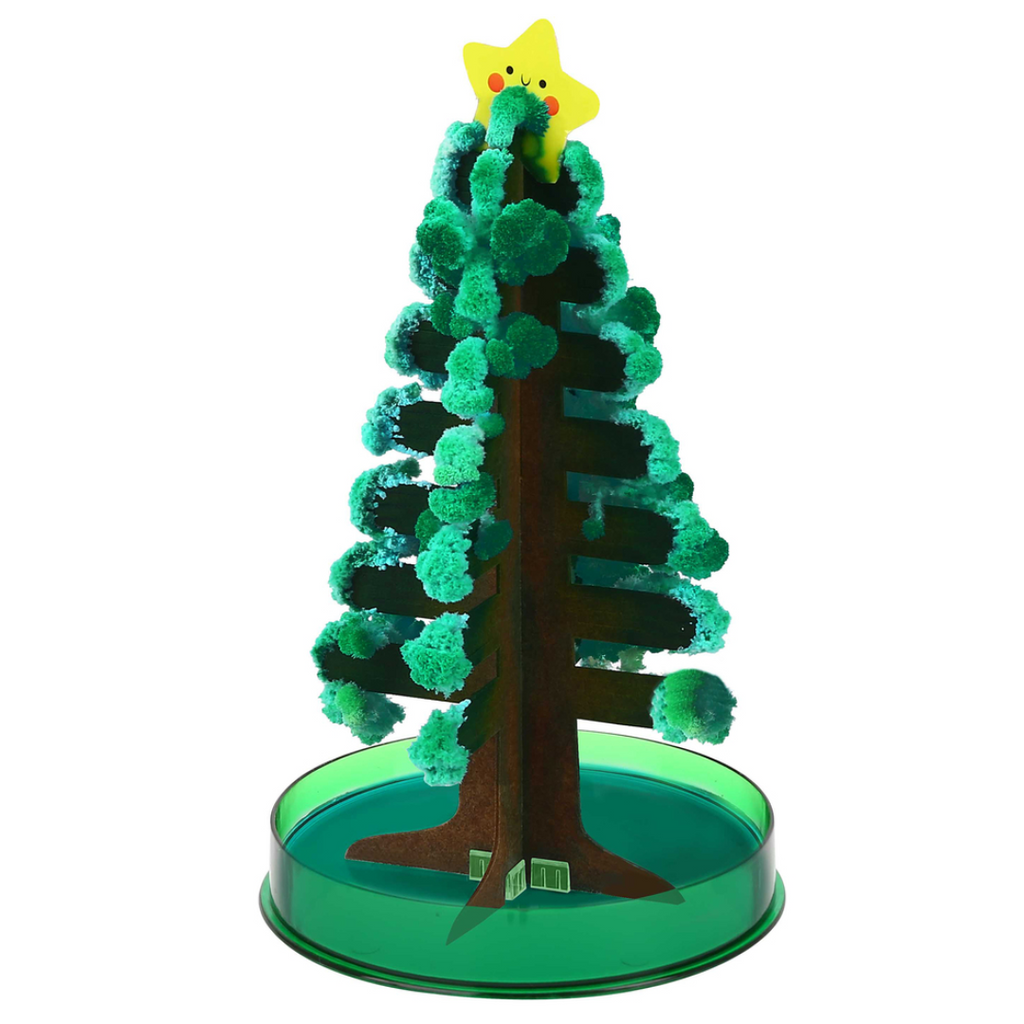 Tookyland | Grow Magic Christmas Tree