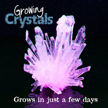 Heebie Jeebies | Growing Crystals