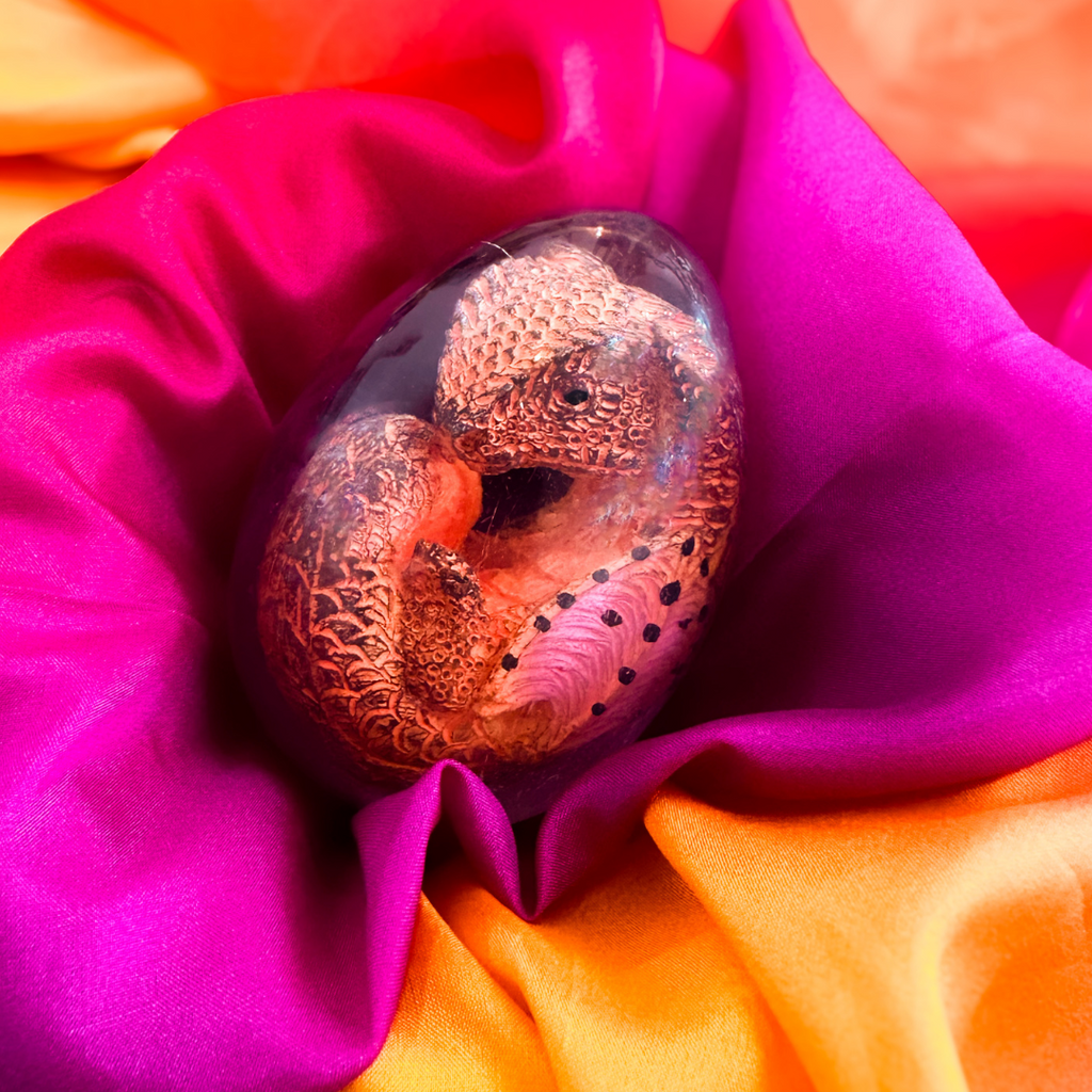 Pickwick & Sprout I Mystical Dragon Egg - Saphira