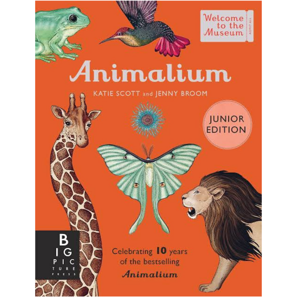 Animalium (Junior Editon) - By Jenny Broom
