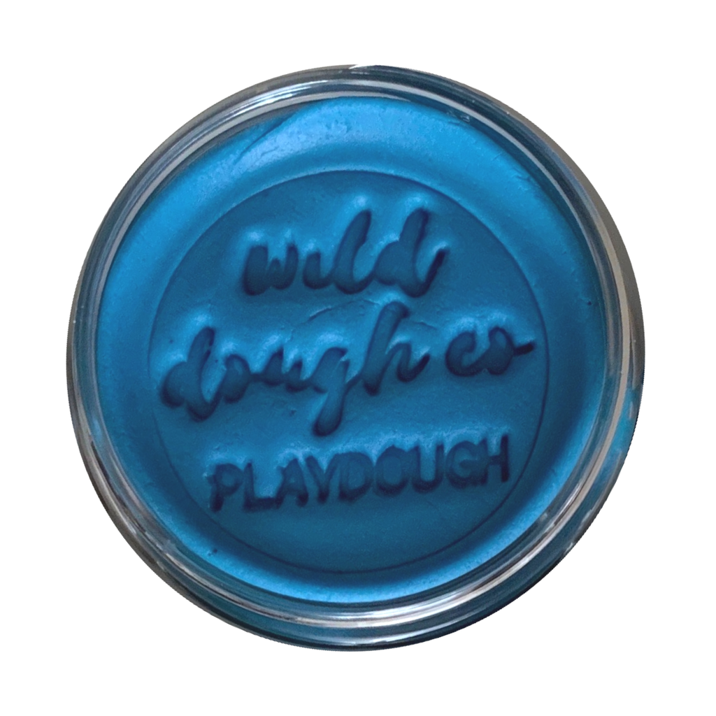Wild Dough Playdough - Pacific Blue Playdough (w/s)