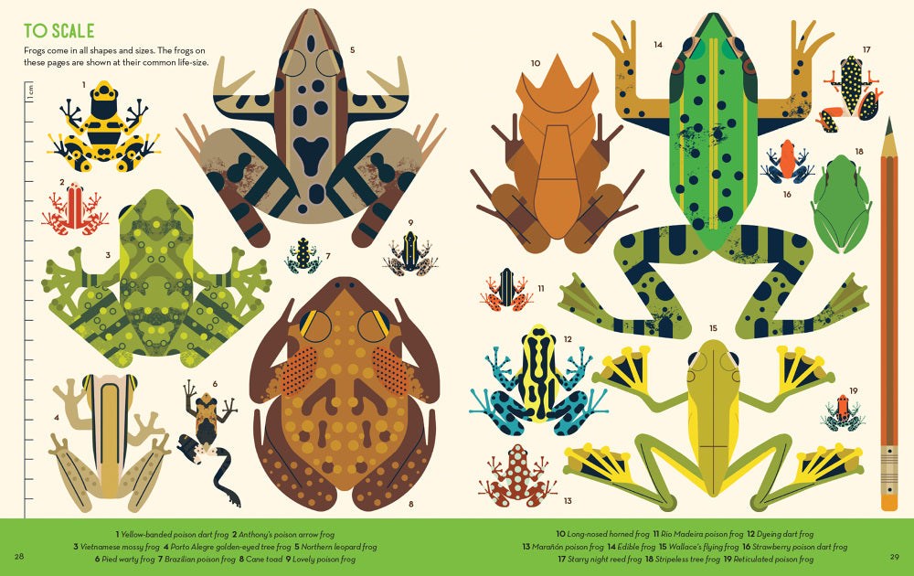 Fanatical About Frogs - By Owen Davey