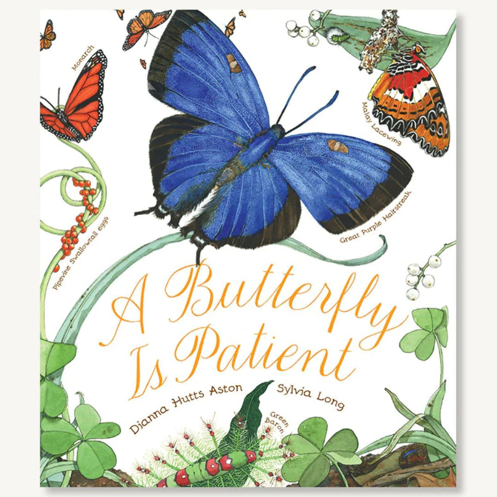 A Butterfly Is Patient - By Dianna Hutts Aston