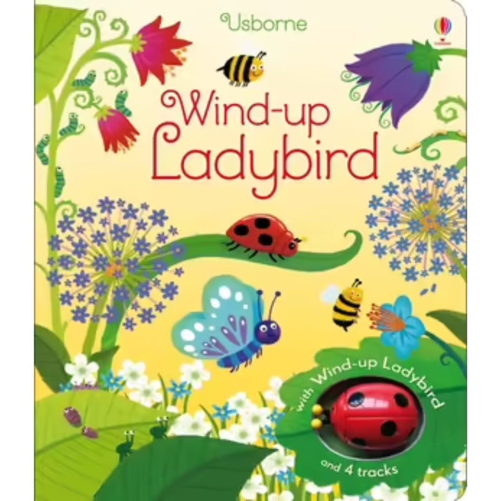 Wind-Up Ladybird - By Fiona Watt