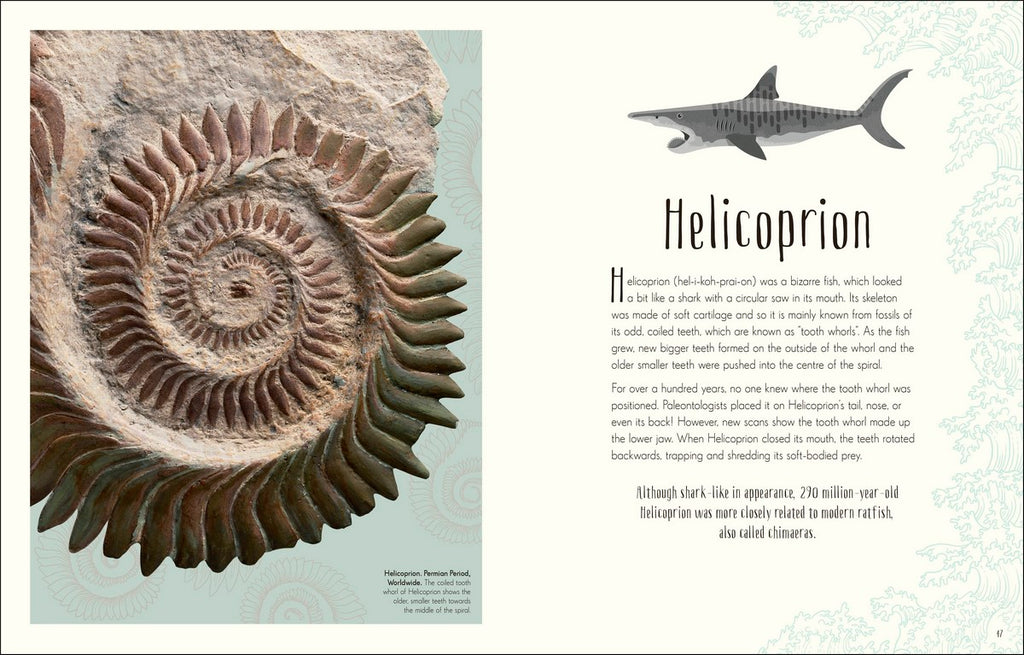 Dinosaurs and other Prehistoric Life - By DK