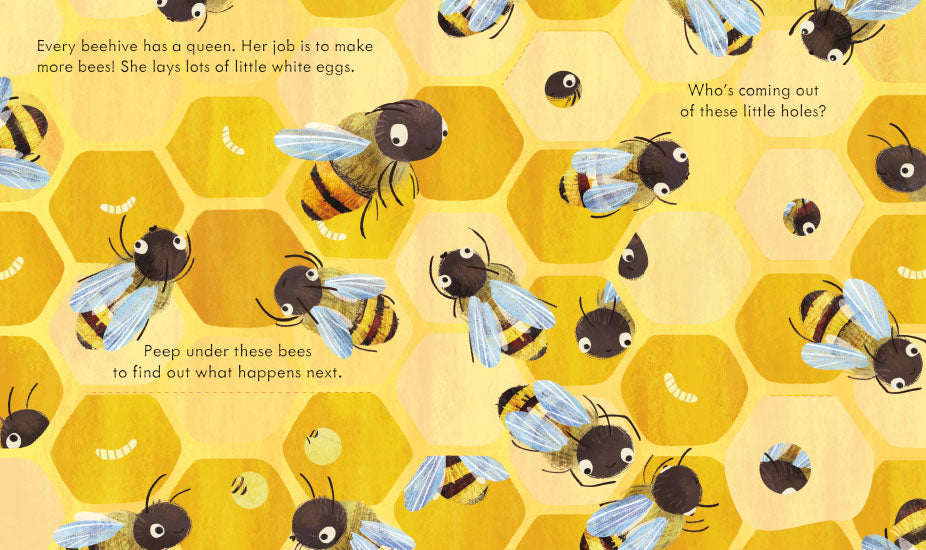 Peep Inside A Beehive - By Anna Milbourne