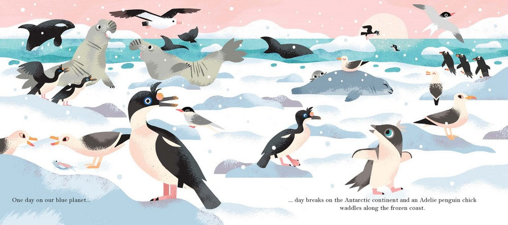 One Day on Our Blue Planet: In the Antarctic - By Ella Bailey