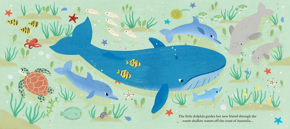 One Day on Our Blue Planet: In the Ocean - By Ella Bailey