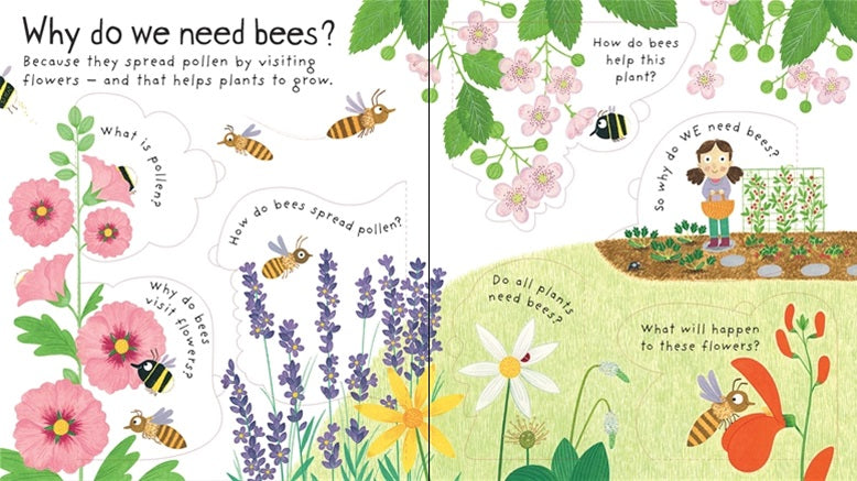 Why Do We Need Bees? - By Katie Daynes