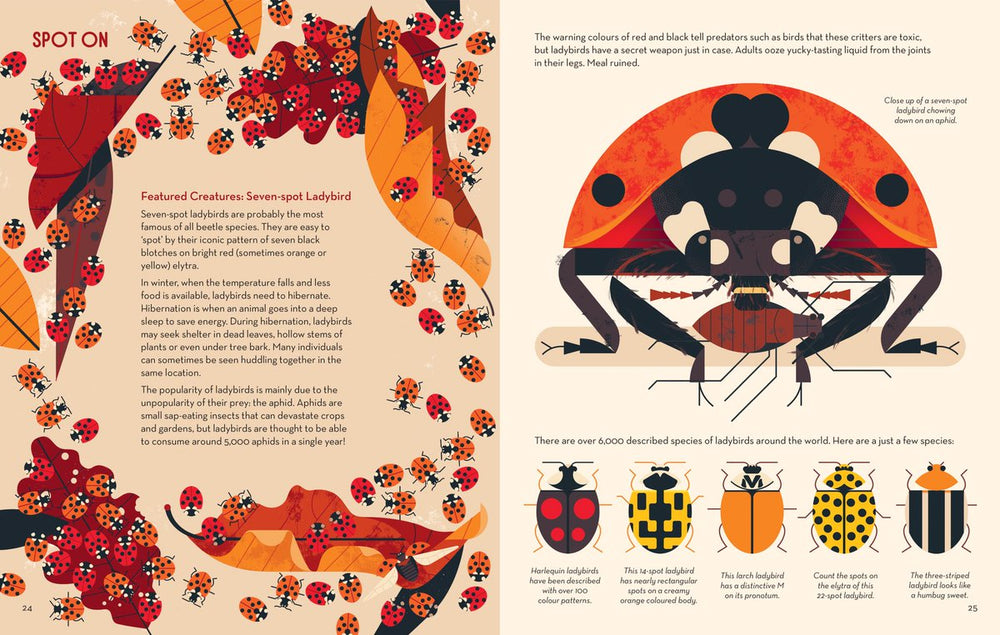 Bonkers About Beetles - By Owen Davey