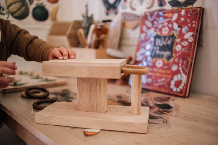 Qtoys | Montessori Activity Rings