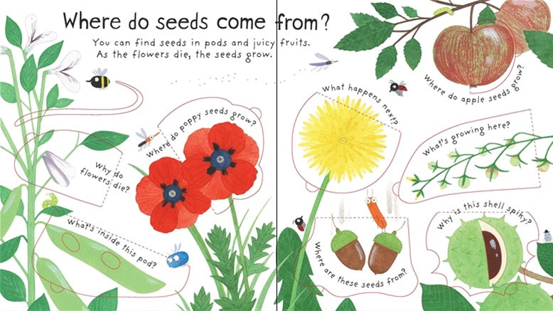 How Do Flowers Grow? - By Katie Daynes