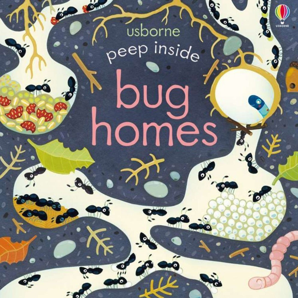 Peep Inside Bug Homes - By Lara Bryan